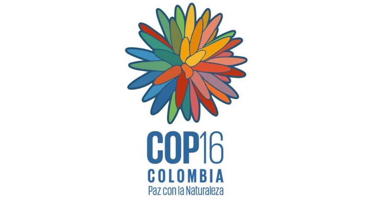 At CBD COP16: The World’s Governments Have an Opportunity To Take Significant Steps to Halt the World’s Biodiversity, Climate and Health Crises