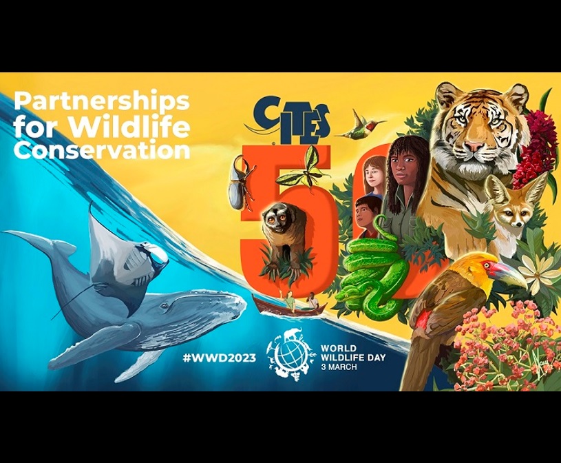 Celebrating 50 years of CITES conserving the world's wild animals and  plants on World Wildlife Day 2023