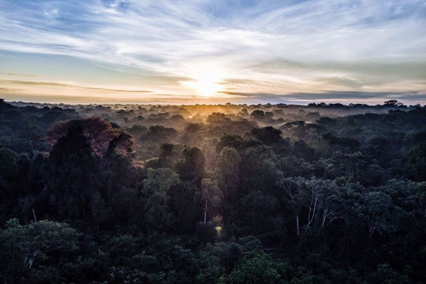 New Partnership to Advance the Rights of Indigenous Peoples in the  Democratic Republic of the Congo (English and French) > Newsroom