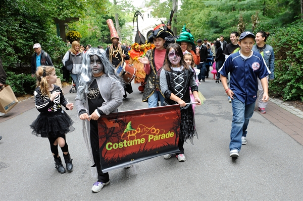 Boo at the Zoo is Underway in the Bronx > Newsroom