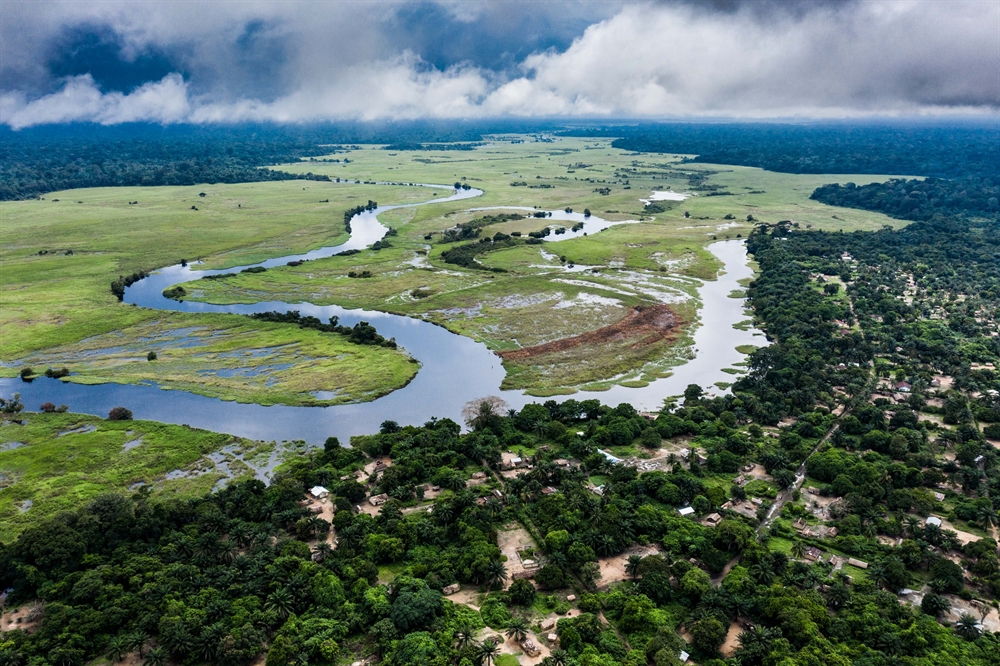 WCS Welcomes Ambitious Partnerships to Support Biodiversity and Climate ...