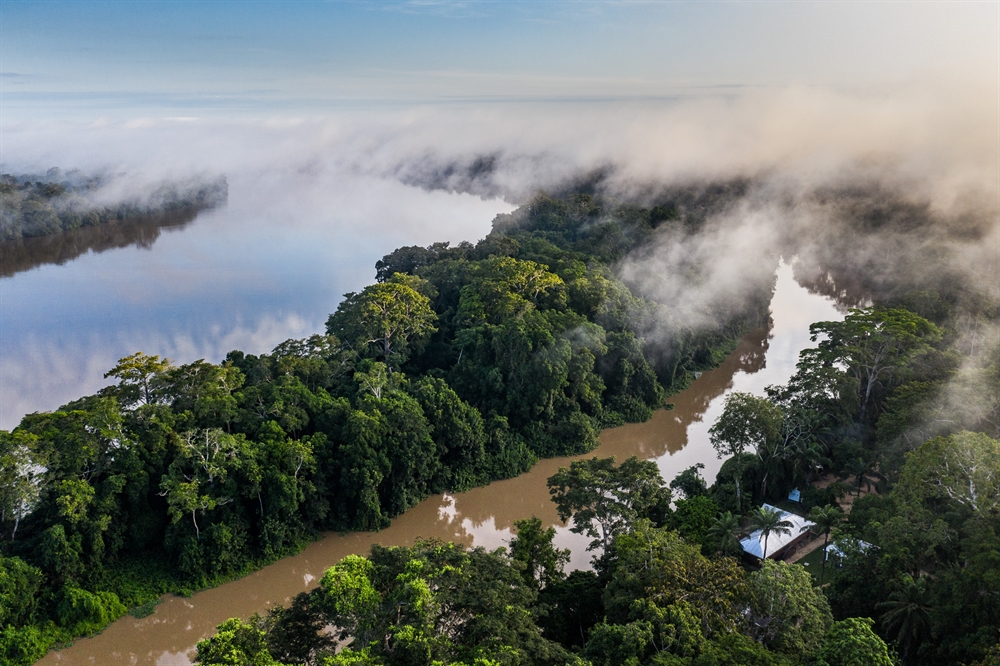 Nouabalé-Ndoki National Park Celebrates 30 Years, as 2023 Marked First ...