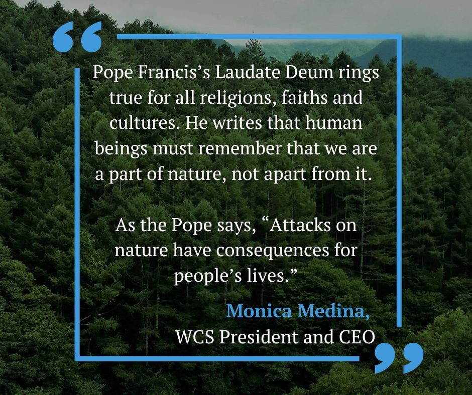 WCS Statement On Pope Francis’s Laudate Deum > Newsroom