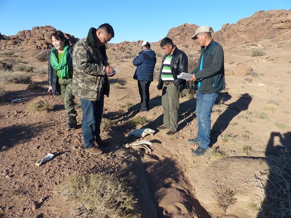 Protected Area Staff in Mongolia Taking the SMART Approach To “Turn ...