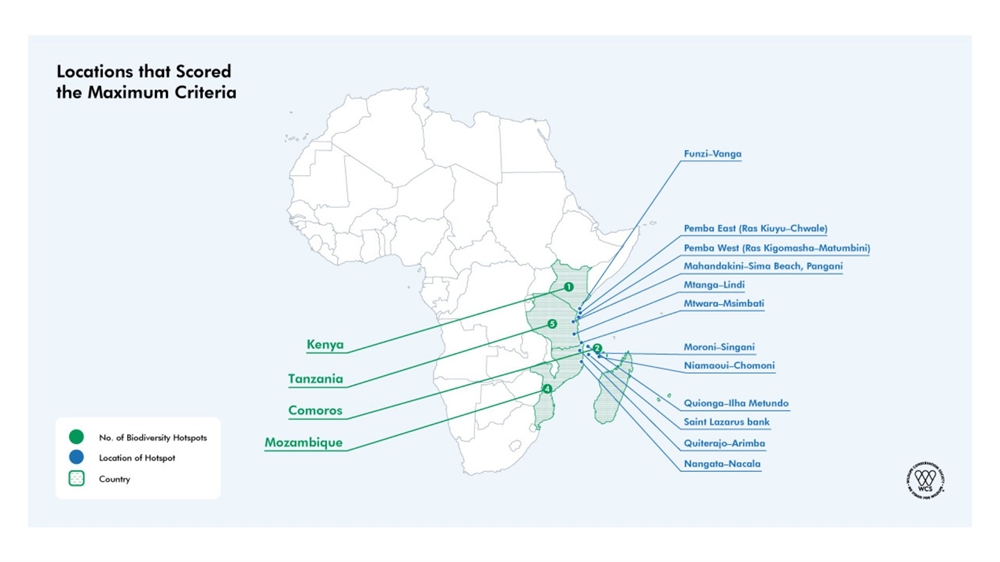 Wcs Model A.I. Model Finds 119 New Ocean Biodiversity Hotspots—And Low Overlap ...