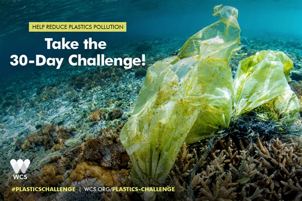 No Straw November Campaign 30-day Challenge to Reduce Plastic