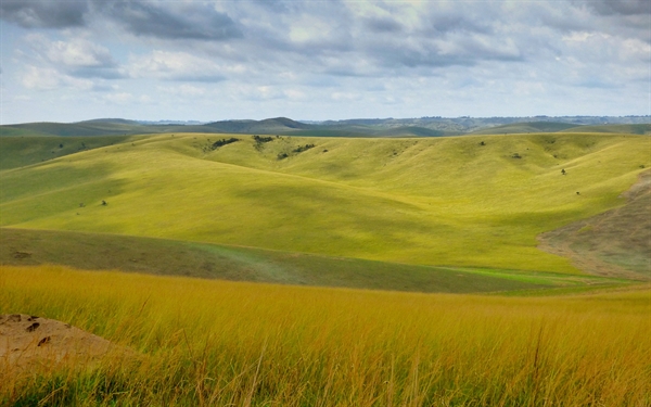 Creation of Ogooue-Leketi National Park > Newsroom