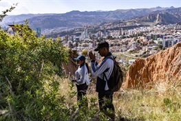 Bolivia Shines in the City Nature Challenge 2024: La Paz Achieves Third Consecutive Victory!