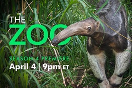 Animal Planet's THE ZOO Returns April 4