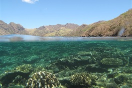 Scientists in Fiji Examine How Forest Conservation Helps Coral Reefs