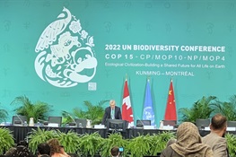 The Kunming-Montreal Global Biodiversity Framework Is ‘The Floor, Not A Ceiling’ for Global Action to Halt Biodiversity Crisis