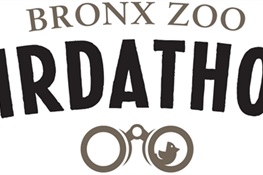 Birdathon Returns to WCS’s Bronx Zoo 