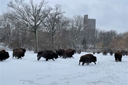 Zoos and Aquarium Reopen Following Snowstorm
