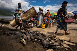 “Forest to Table”: a Focus on Bushmeat in Central Africa in Nat Geo Latest Issue