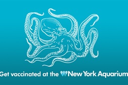 New York Aquarium Opens Vaccination Site in Partnership with New York City to Help Fight COVID-19