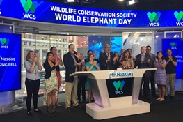 WCS Rings the Nasdaq Stock Market Closing Bell for World Elephant Day