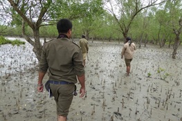 Bangladesh Rolls out SMART Patrolling Across the Sundarbans