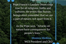 WCS Statement on Pope Francis’s Laudate Deum