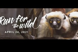 WCS Run for the Wild Returns to the Bronx Zoo - Saturday, April 24, 2021