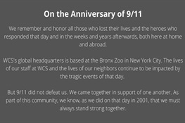 A WCS Tribute Upon the 20th Anniversary of 9/11
