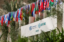 COP28 Must Be A Turning Point for Our Planet and All People