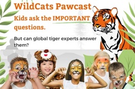 Kids Ask Questions for Tiger Experts