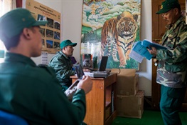 Support for Rangers Is Critical to Meet Tiger Recovery Goals and Biodiversity