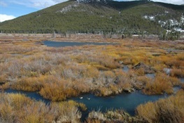 Let’s Give Yukon’s Wetlands Better Care