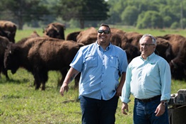 For the Osage Nation, Bison Are Home on the Range