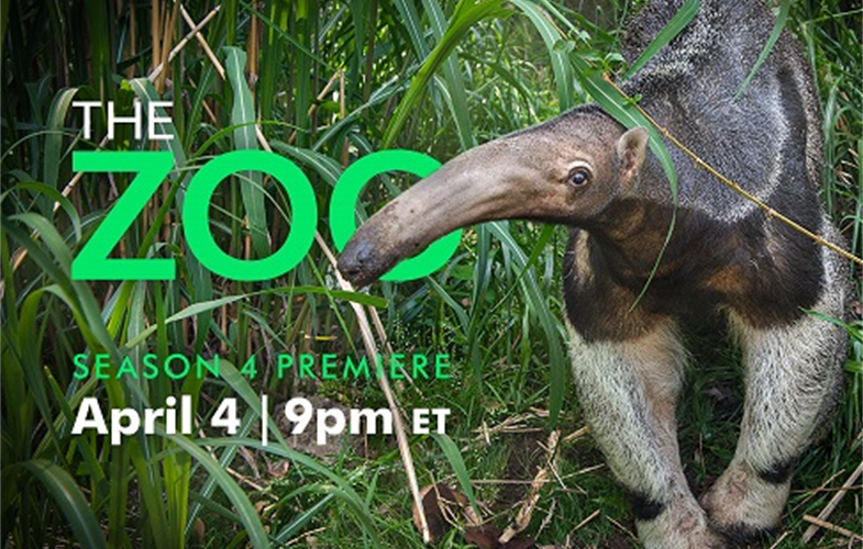 FB-the-zoo-premiere-announcement-0312-2020