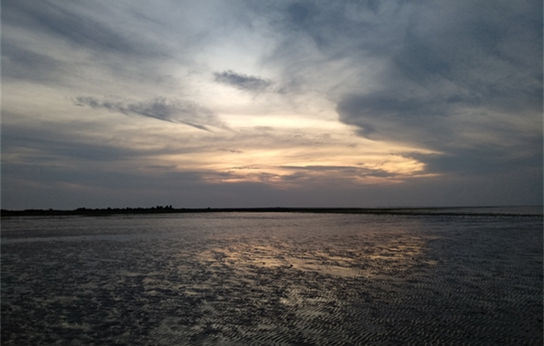 Coastal mudflat, Ayeyarwady region CREDIT Rob Tizard